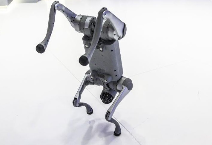 চীনা রোবটকে নিজেদের দাবি, এআই সামিট থেকে বাদ ভারতীয় বিশ্ববিদ্যালয়