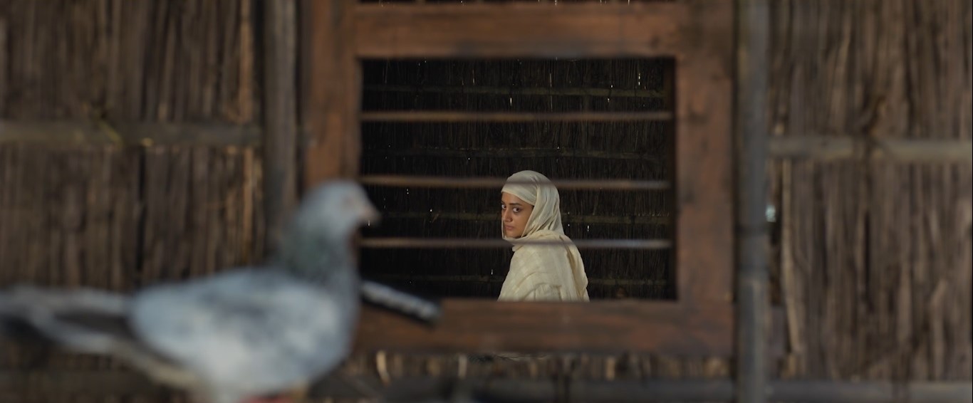 যুক্তরাষ্ট্র–কানাডার ৫৮ হলে ‘দম’