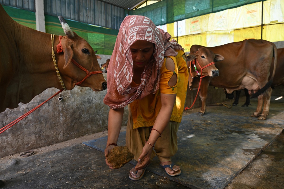 ‘কালো সোনা’য় জ্বালানি সংকটের সমাধান দেখছে ভারত