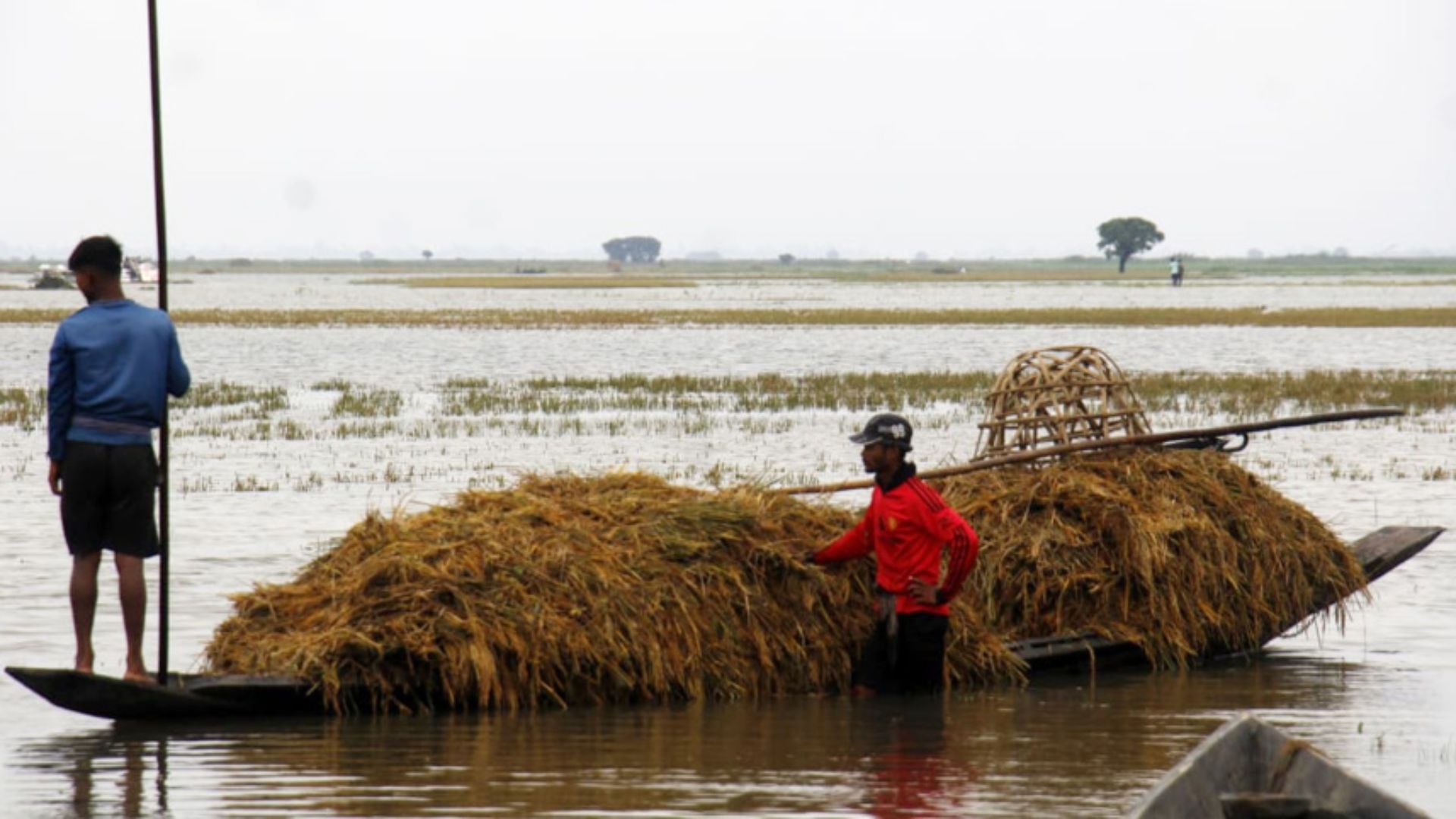 হাওরের বন্যায় ১০৪৭ কোটি টাকার ফসলের ক্ষতি