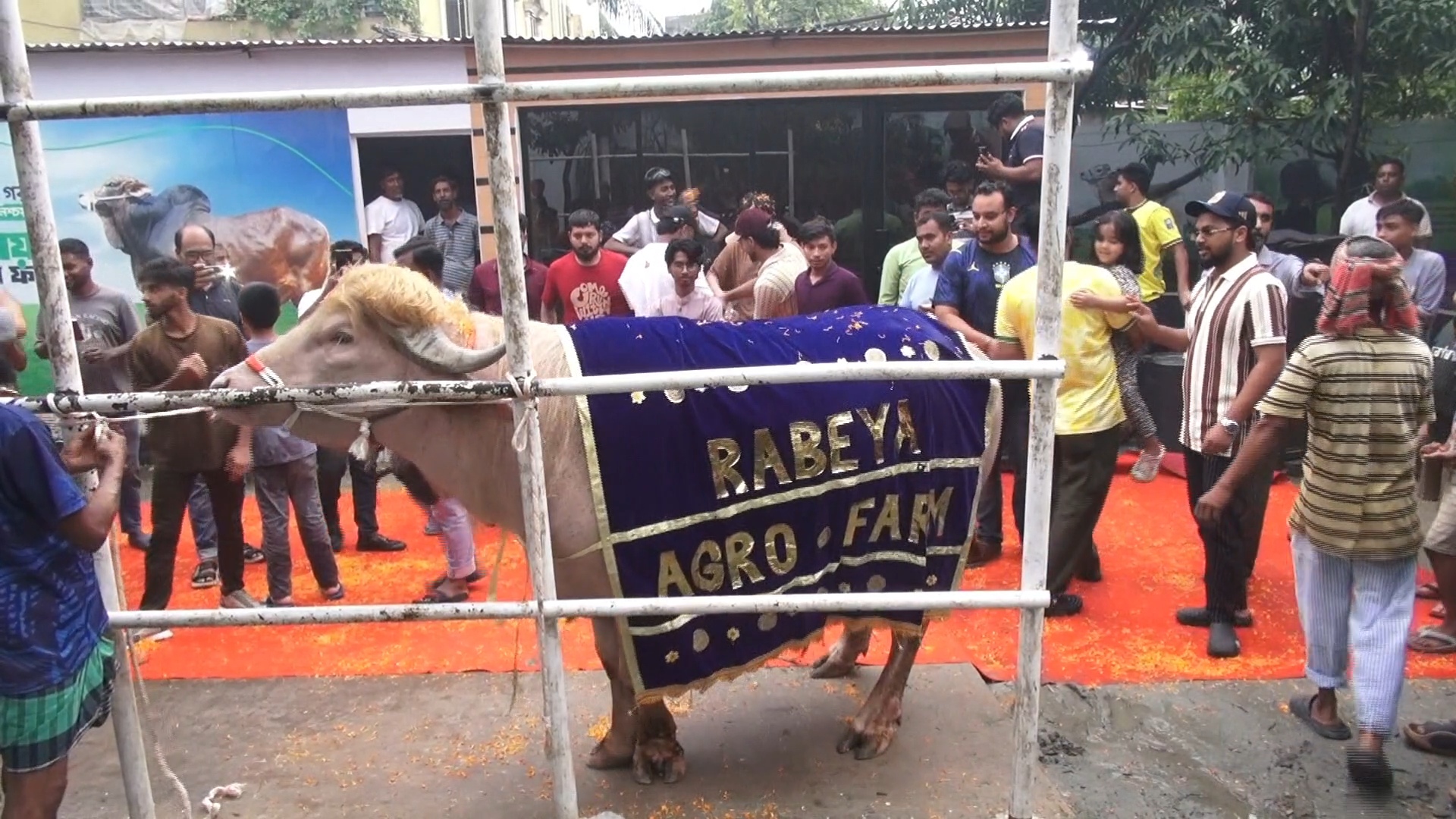 লাল গালিচায় ‘রাজকীয়’ বিদায় পেল ‘ডোনাল্ড ট্রাম্প’