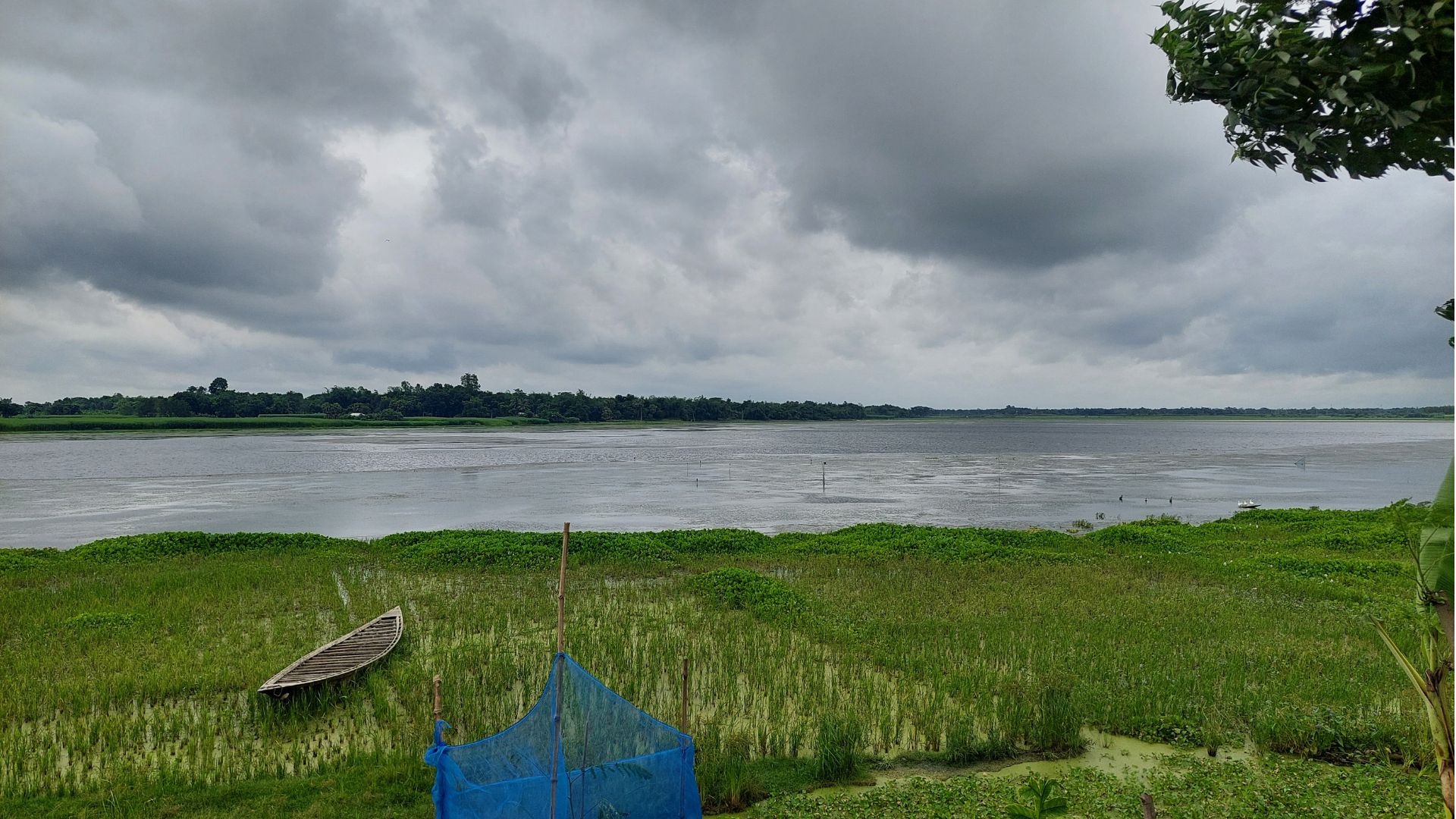 যেভাবে একটি বিল চলে গেল বিএনপি নেতাদের দখলে