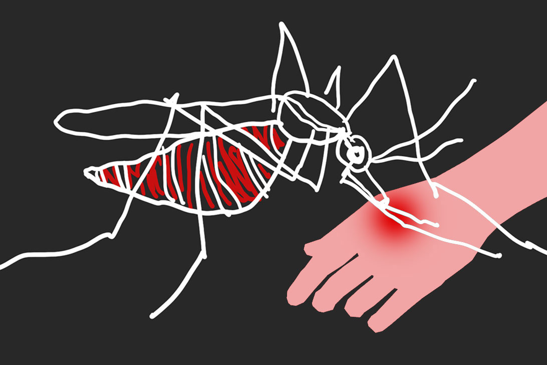 ডেঙ্গু কি একাধিকবার হতে পারে, জ্বর ছাড়াও কী উপসর্গ দেখা যাচ্ছে এবার