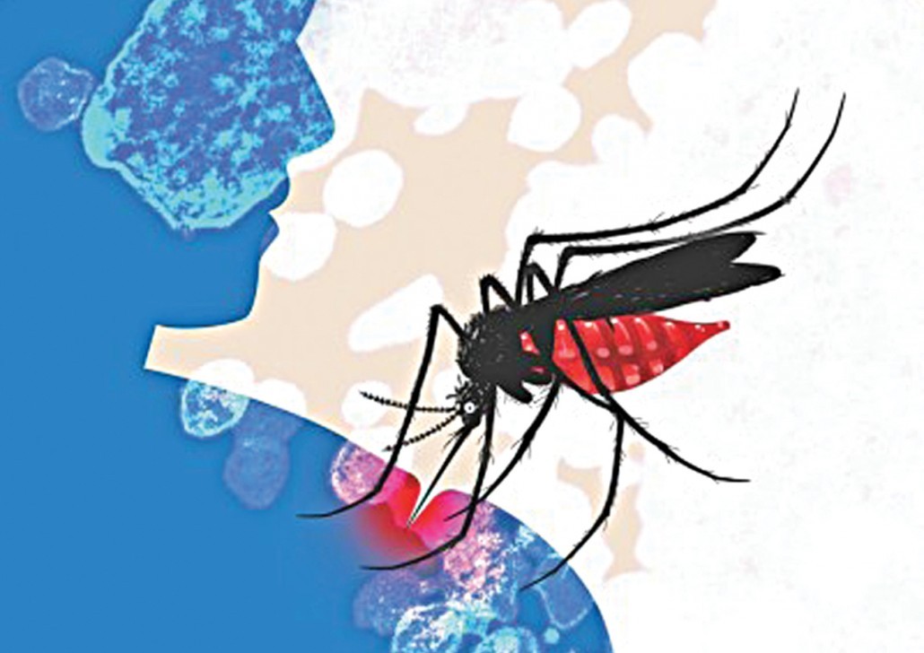 চিকুনগুনিয়া যেভাবে ছড়ায়, উপসর্গ, করণীয়