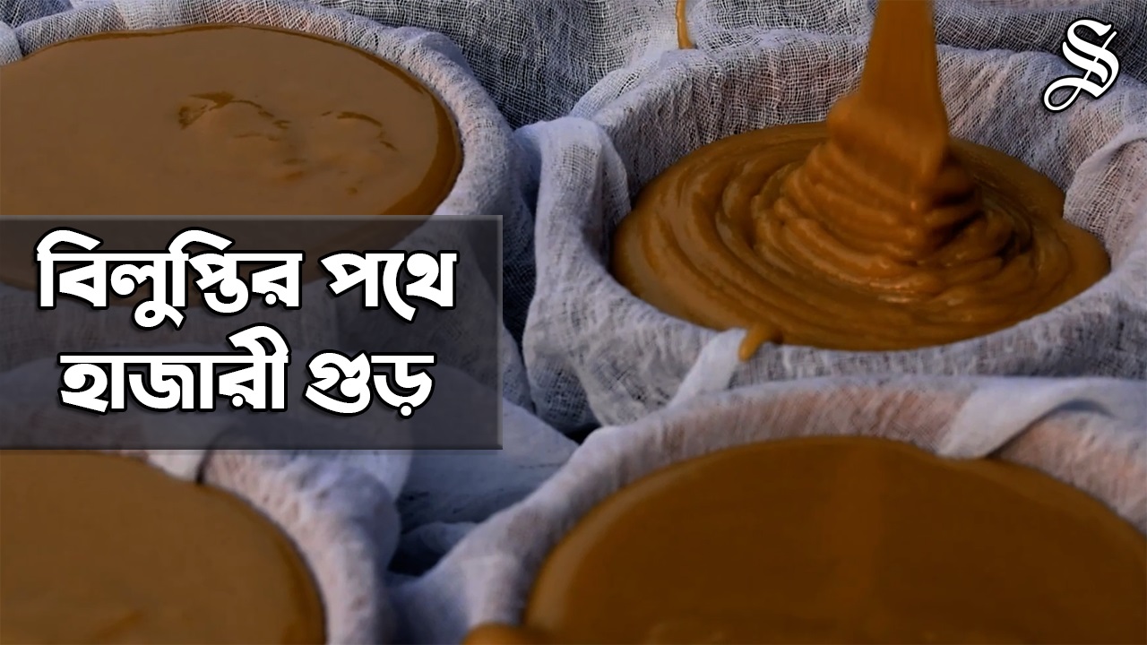 হারানোর পথে মানিকগঞ্জের হাজারী গুড়