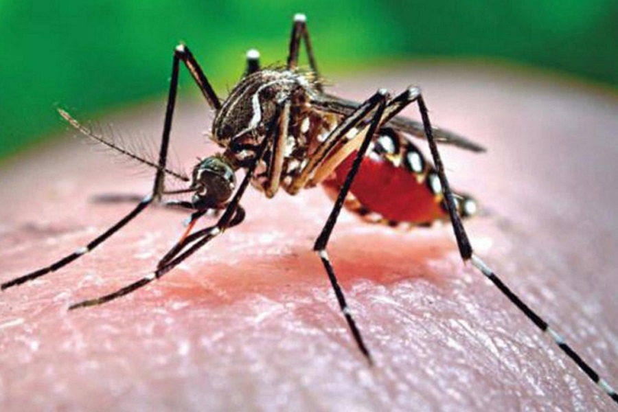 চলতি বছর ডেঙ্গুতে প্রথম মৃত্যু