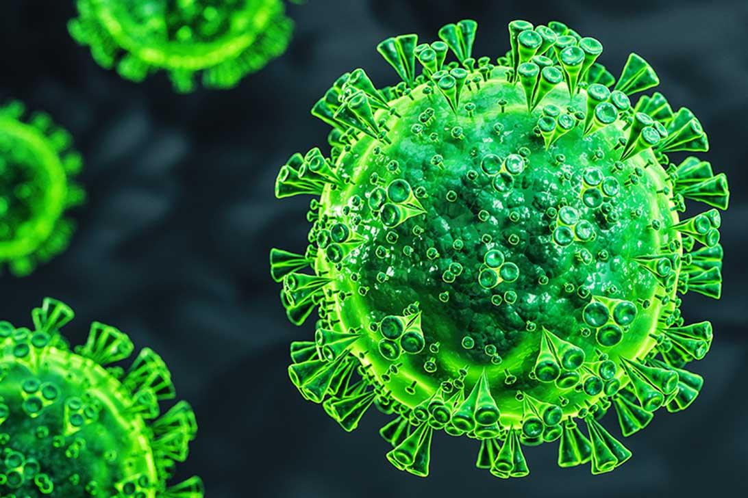 ২ সপ্তাহে সংক্রমণ ১.৭৩ থেকে বেড়ে ১১.০৩ শতাংশ হয়েছে