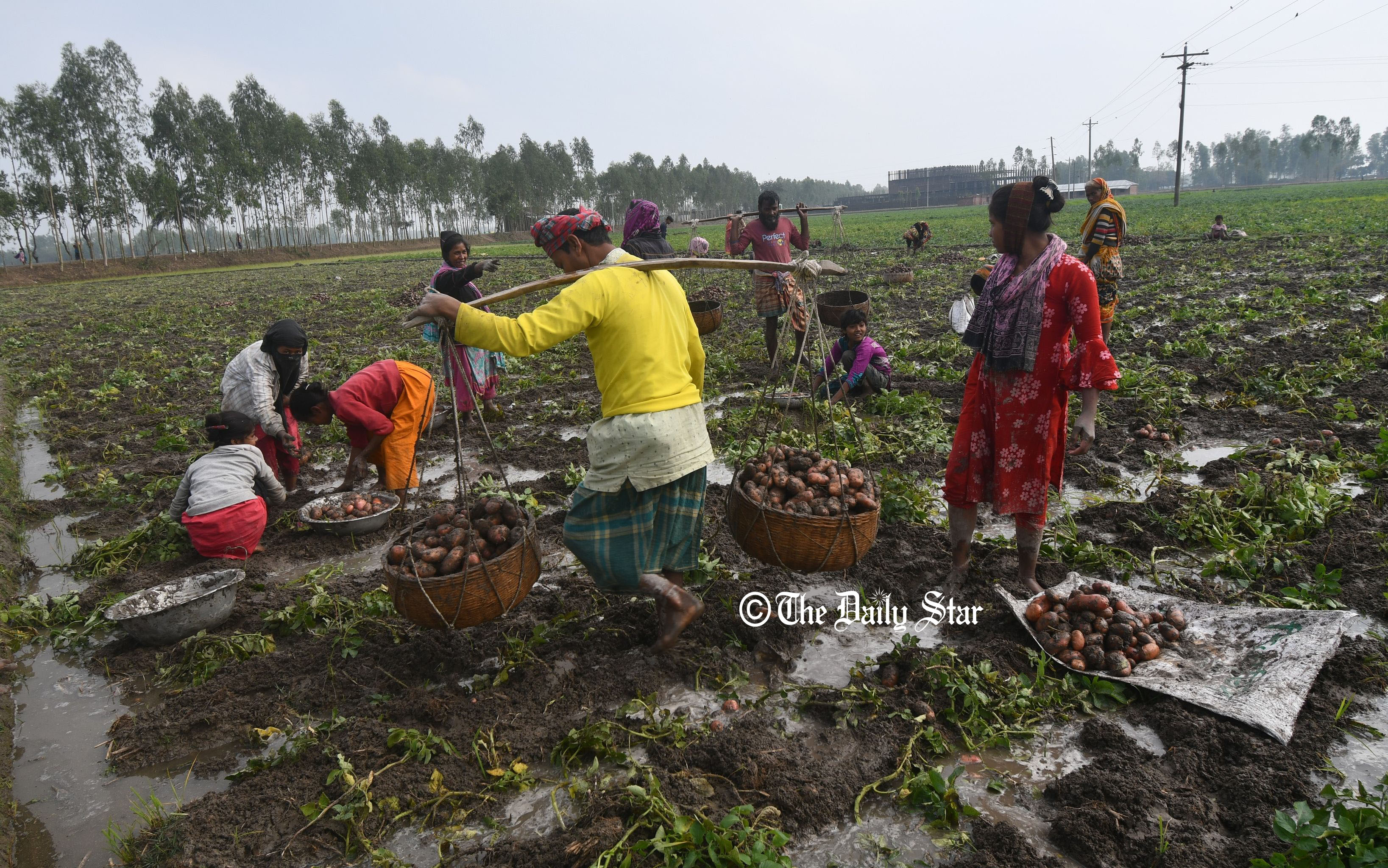 সরকার কেন কৃষকের কাছে আবহাওয়ার খবর পৌঁছাতে পারে না?