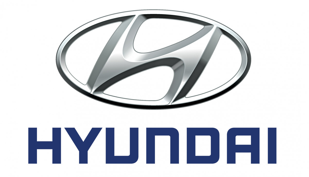 কাশ্মীর নিয়ে টুইট: ভারতে হুন্দাইয়ের গাড়ি বয়কটের আহ্বান