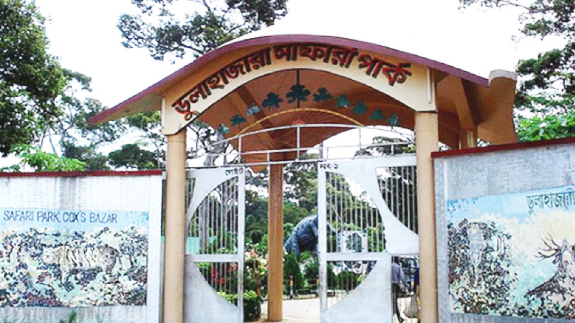 ডুলাহাজারা সাফারি পার্কে বার্ধক্যজনিত কারণে সিংহের মৃত্যু