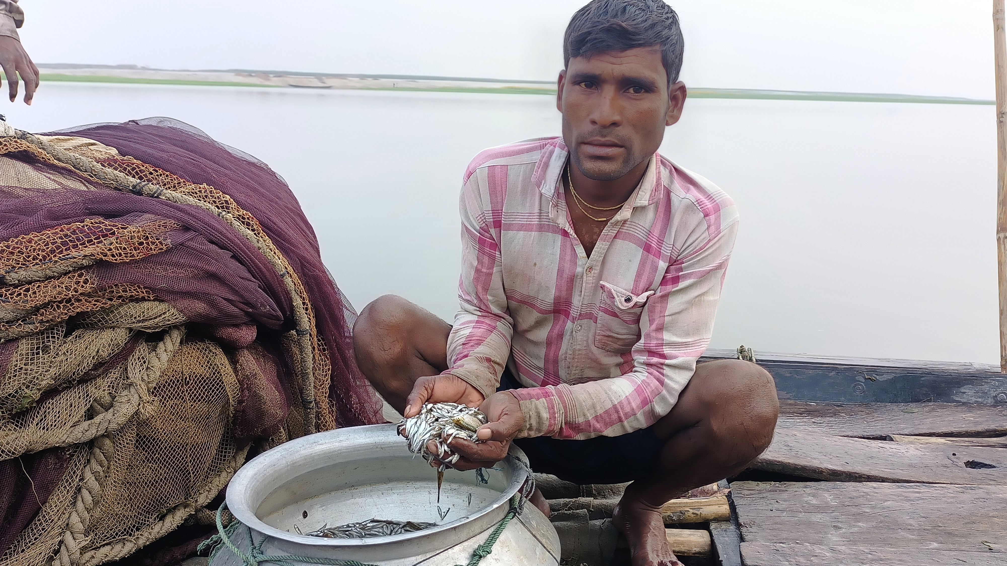 হারিয়ে যাচ্ছে উত্তরের ‘রুপালি’ মাছ বৈরালী