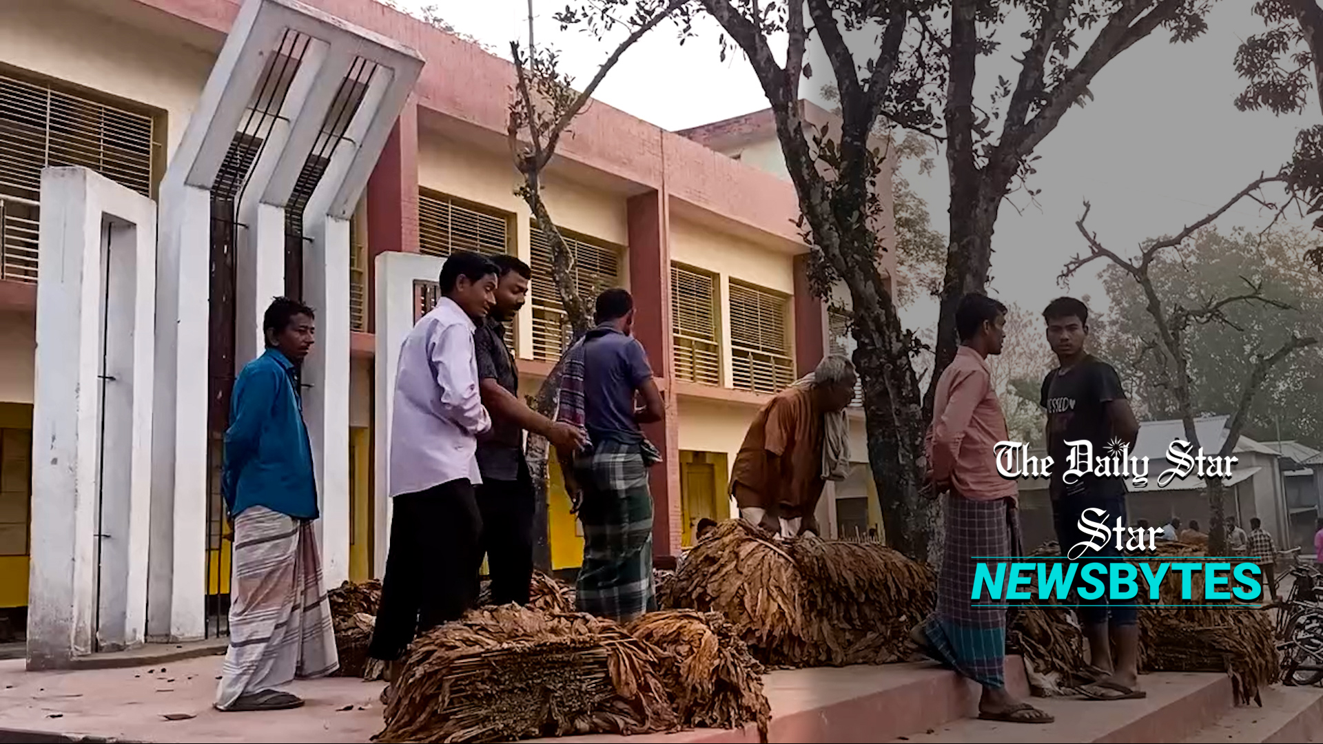 স্কুলের মাঠে ‘তামাকের হাট’