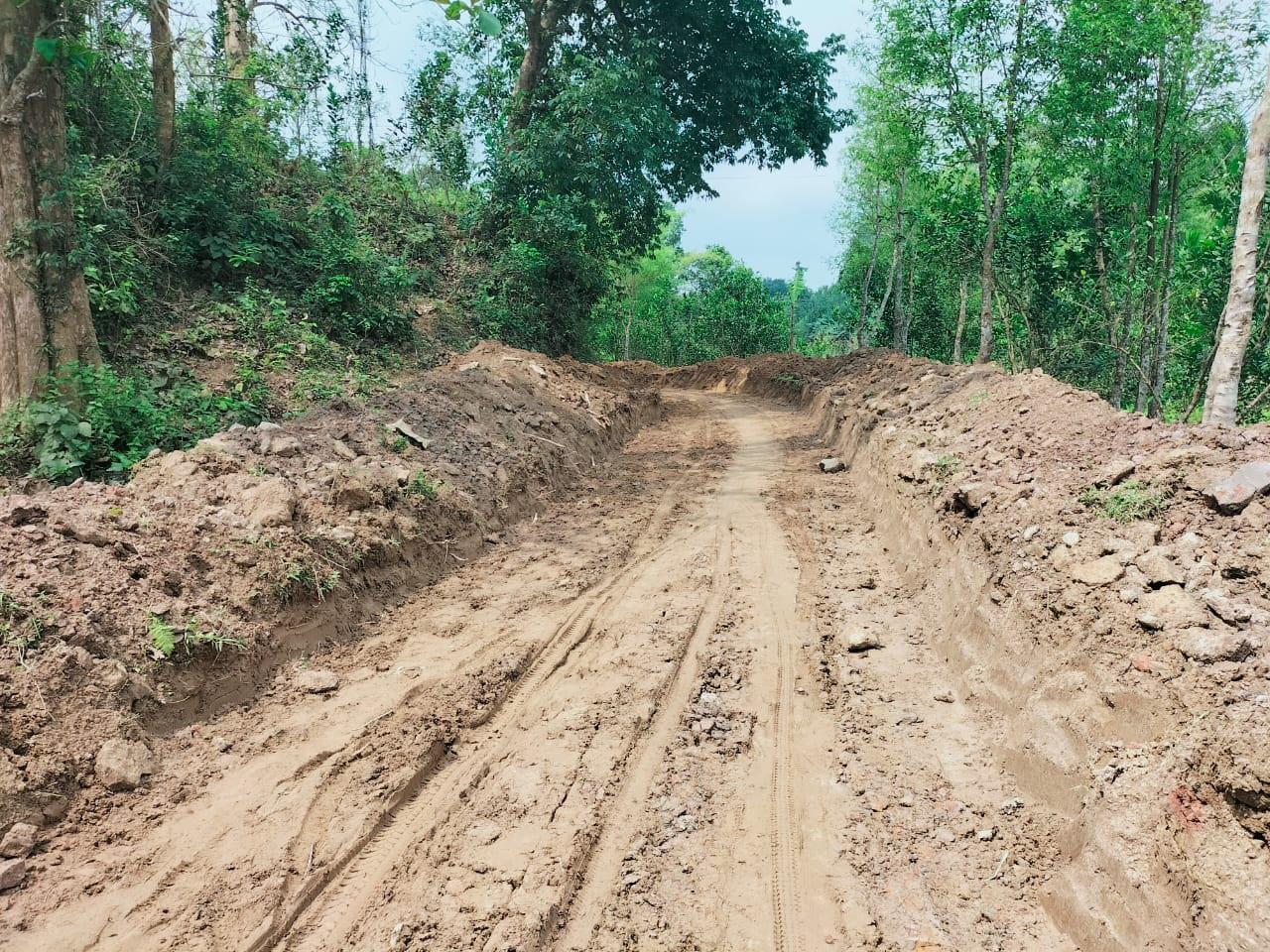 সংরক্ষিত বনে পাকা সড়ক নির্মাণ বন্ধের দাবিতে বেলার আইনি নোটিশ