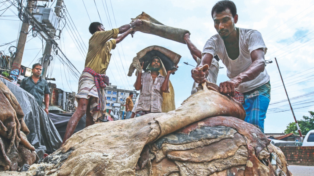 কোরবানির পশুর চামড়া সংরক্ষণে লবণের চাহিদা জানতে চেয়েছে বিসিক