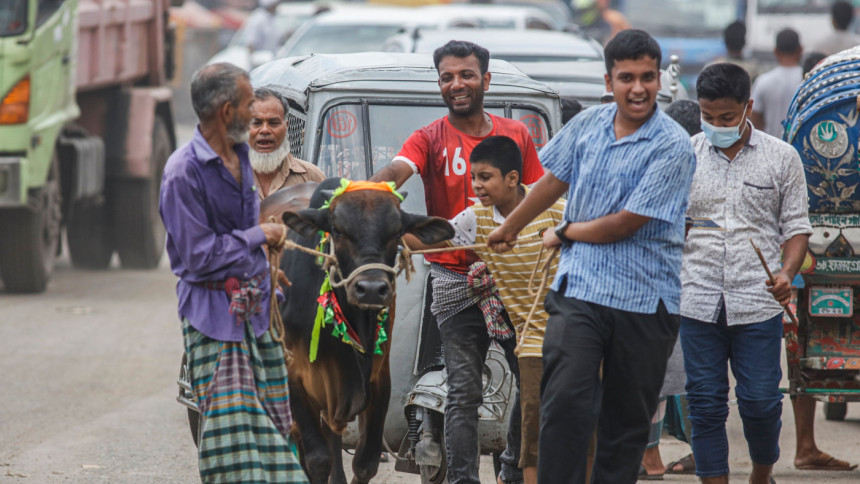 ঈদের রাত ১০টার মধ্যে কোরবানির বর্জ্য অপসারণ: স্থানীয় সরকারমন্ত্রী