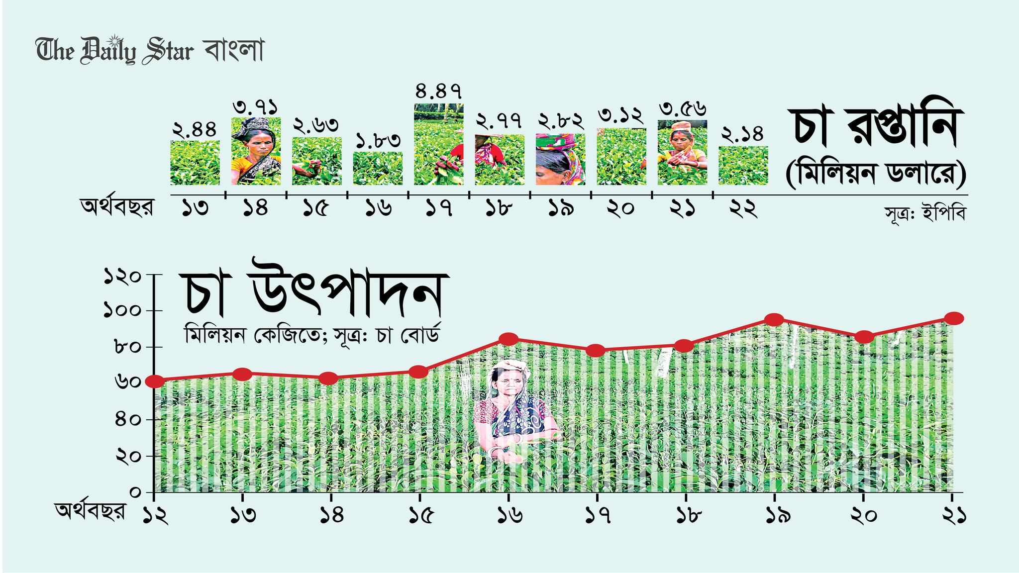 উৎপাদন বাড়লেও কমছে চা রপ্তানি