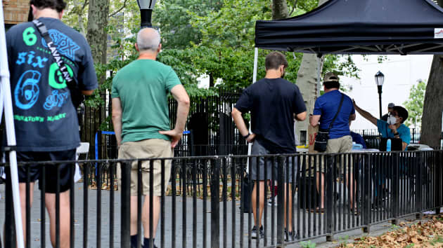 মাঙ্কিপক্স: নিউইয়র্কে জরুরি অবস্থা ঘোষণা