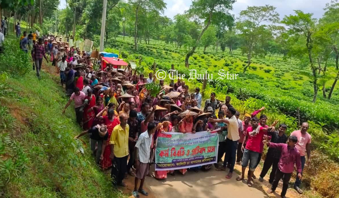 ৫০ টাকা মজুরি বৃদ্ধিতে চা-শ্রমিকরা হতাশ, নেতারা বলছেন কাজে যাবেন