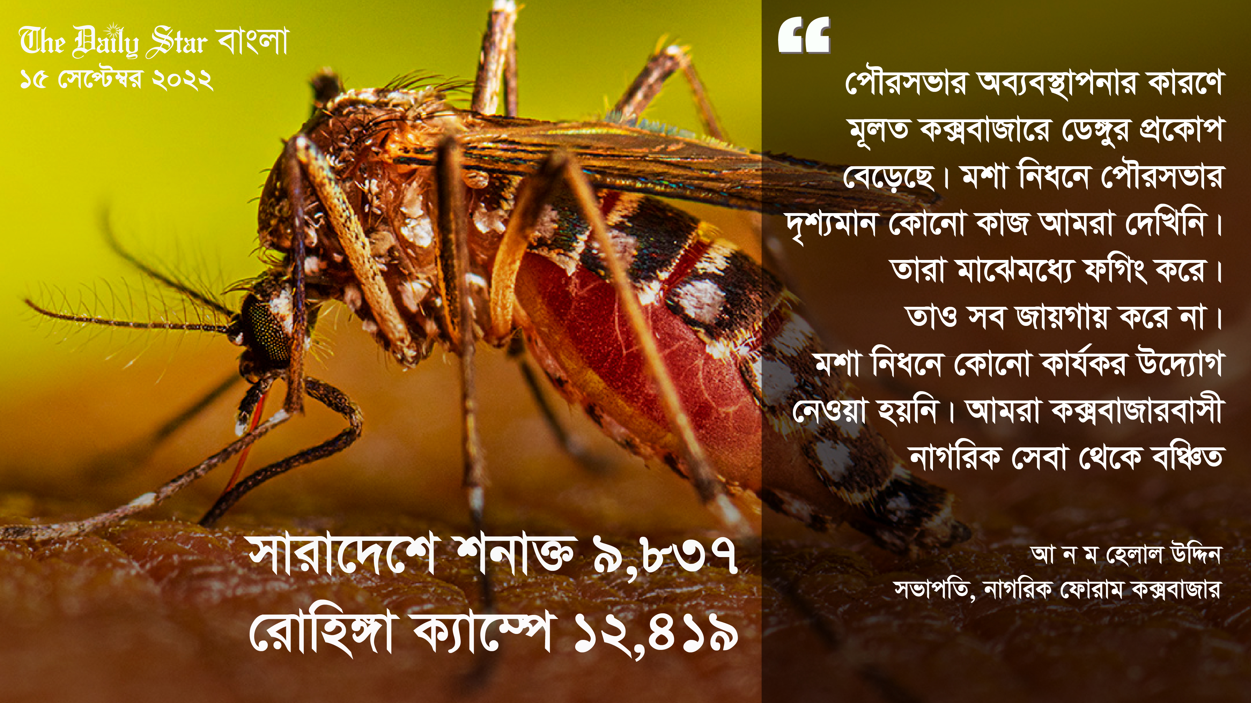 সারাদেশের চেয়ে শুধু রোহিঙ্গা ক্যাম্পেই ডেঙ্গু রোগীর সংখ্যা বেশি