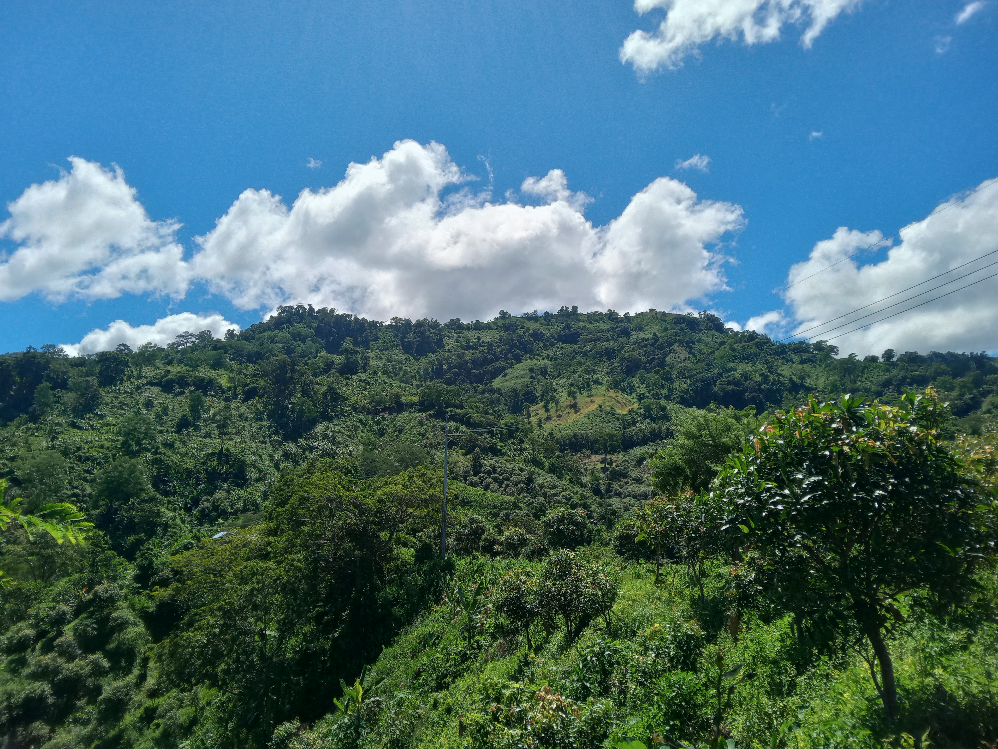 বিস্ফোরণের শব্দে কেঁপে উঠছে হোয়াইক্ষ্যং-তুমব্রু সীমান্ত