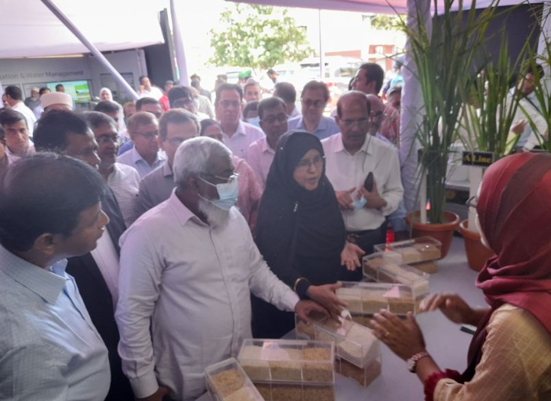 মিনিকেট নামে কোনো চাল বিক্রি করা যাবে না: মন্ত্রিপরিষদ সচিব