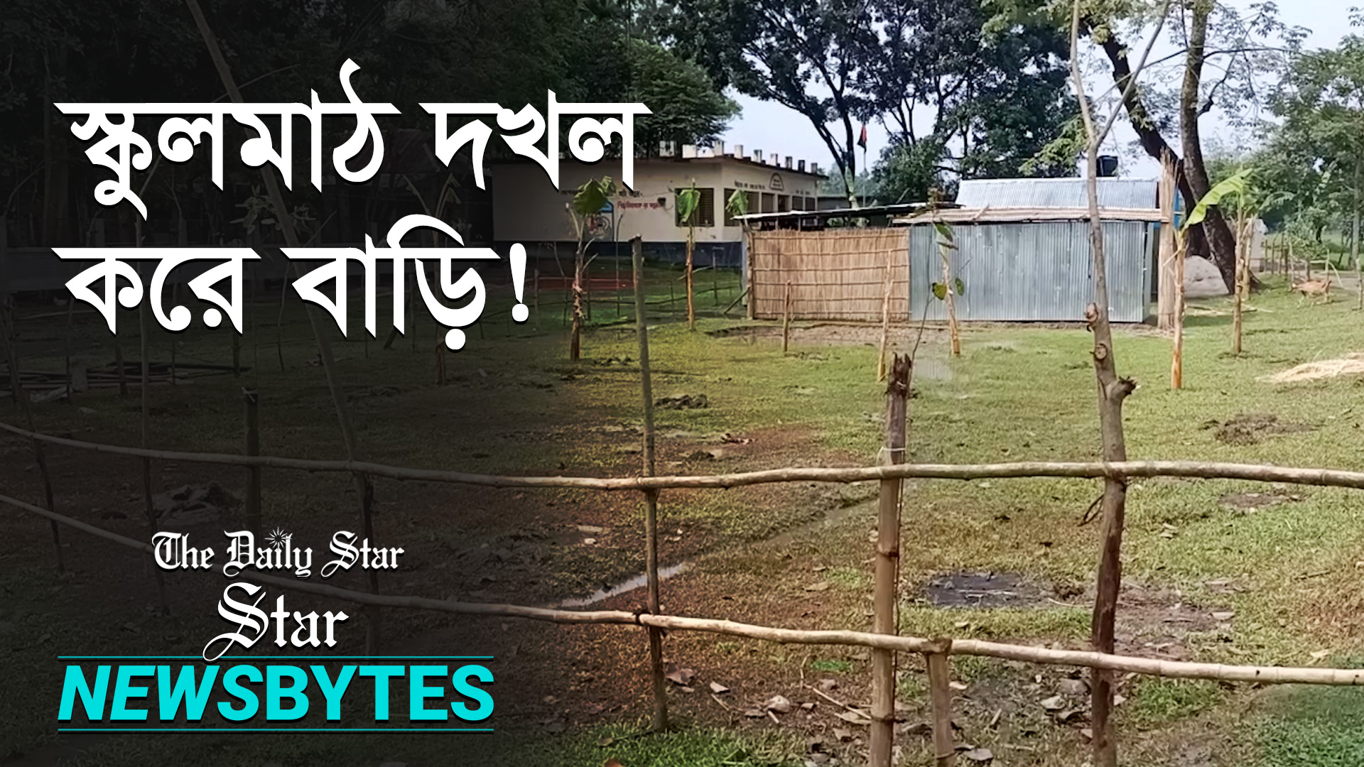 স্কুলের মাঠ দখল করে বাড়ি আর কলাবাগান!