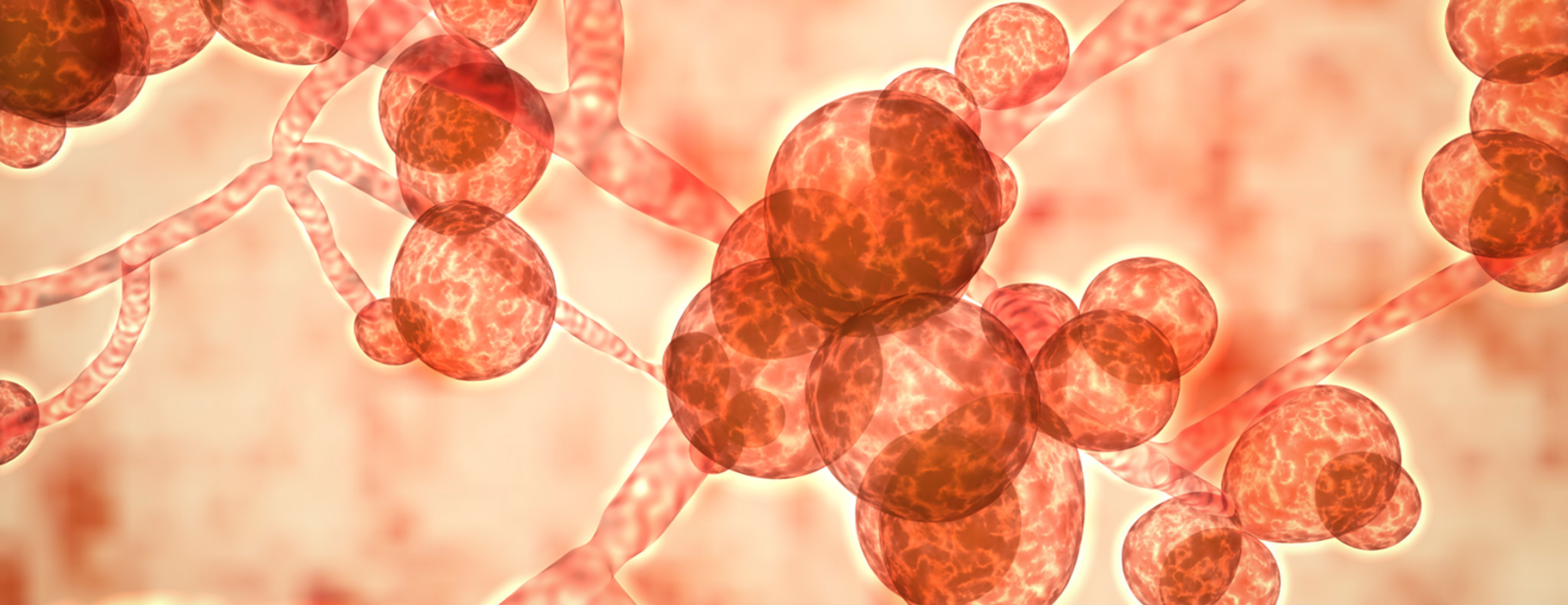 মানবদেহের জন্য ভয়ংকর হতে পারে যে ৪টি ছত্রাক সংক্রমণ