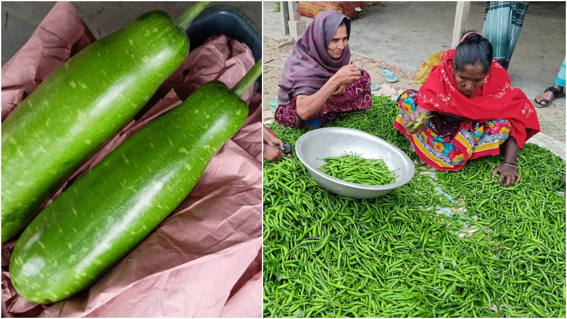 জাজিরার সবজি যাচ্ছে সুইজারল্যান্ডে