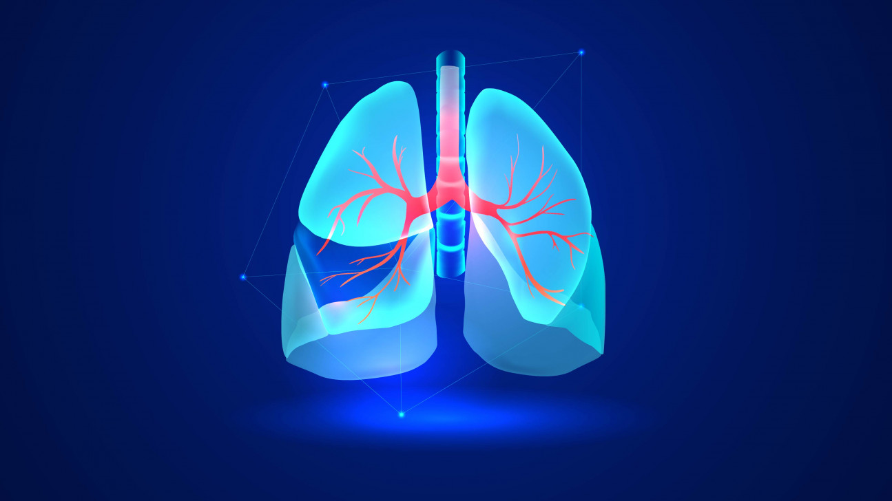 শ্বাসতন্ত্রের রোগে ২ মাসে ঢাকার বাইরে ৭৫ জনের মৃত্যু