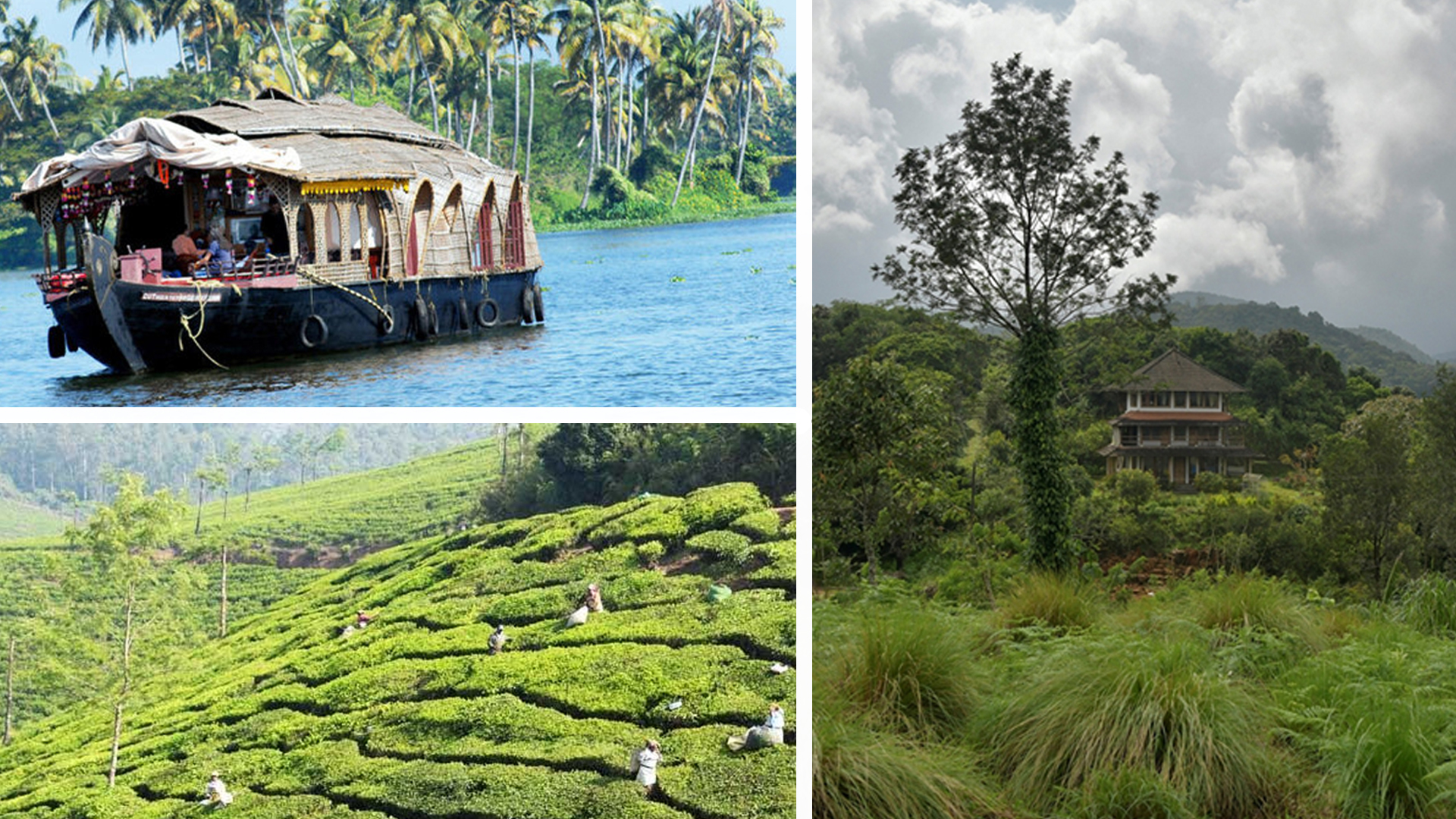 কেরালার যে ৬ জায়গা ঘুরতে যেতে পারেন