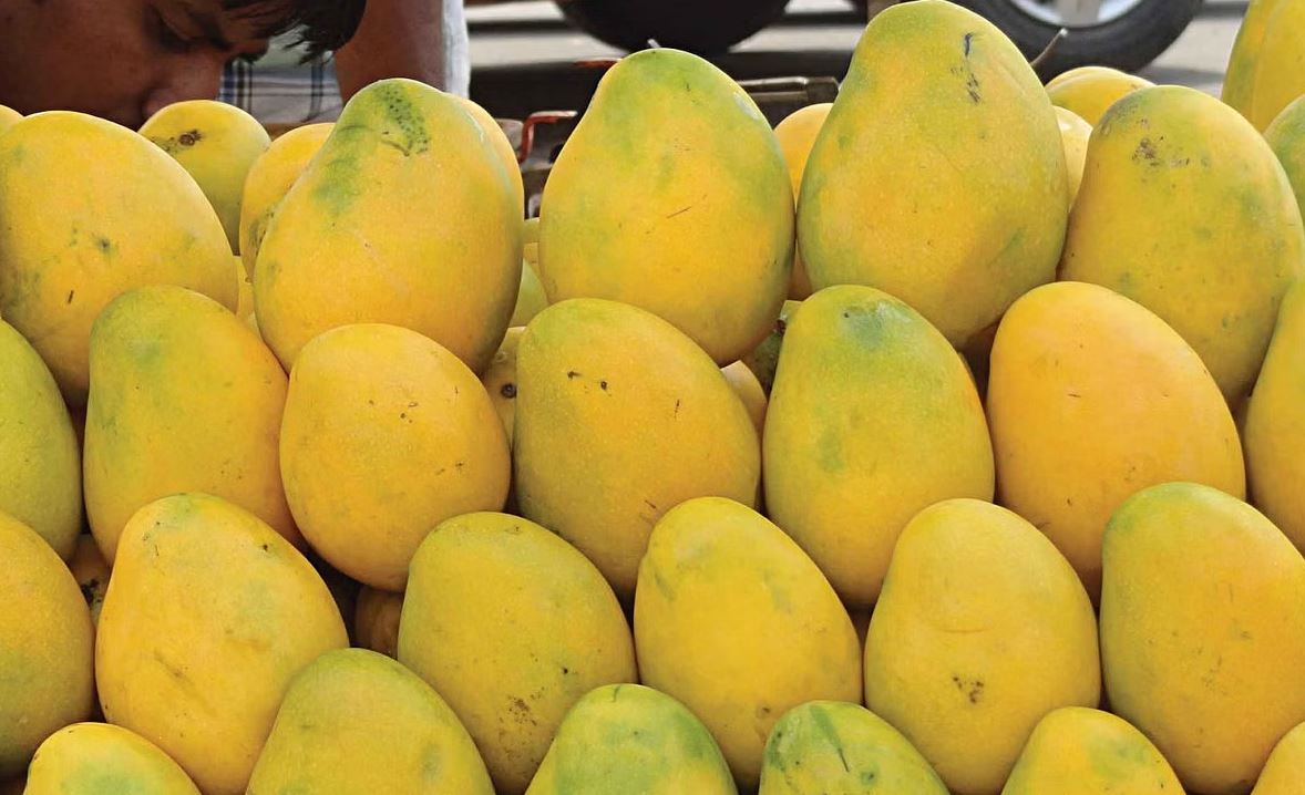 আম কখন খাওয়া ভালো, ডায়াবেটিস রোগীরা কি আম খেতে পারবেন