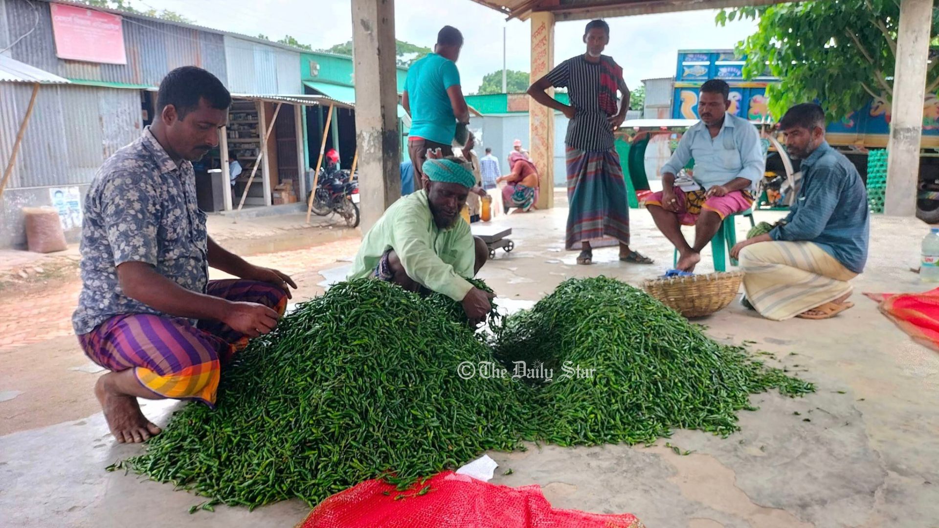 কাঁচা মরিচের দাম পাইকারিতে ২২০ টাকা, খুচরা বাজারে ৪০০