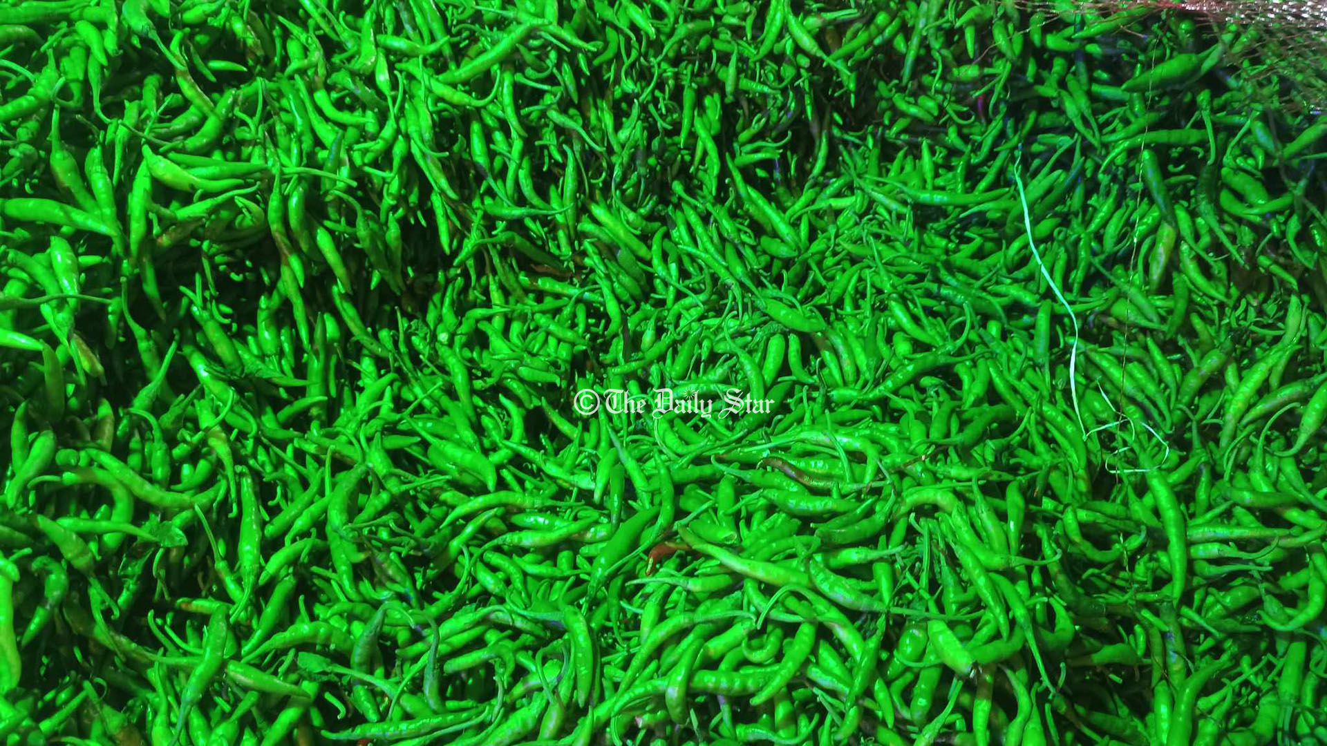 আমদানির প্রভাবে কারওয়ান বাজারে আজ কাঁচা মরিচের কেজি ১৫০ টাকা