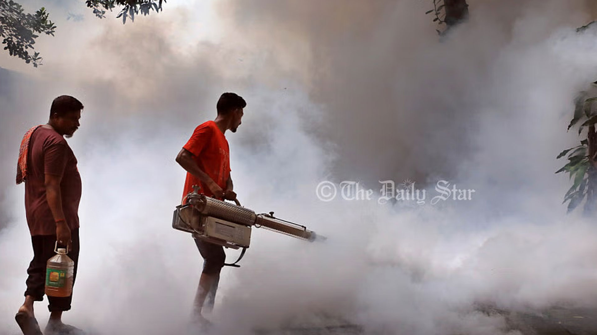 ডেঙ্গু নিয়ন্ত্রণ: কলকাতা পারলেও ঢাকা কেন পারছে না