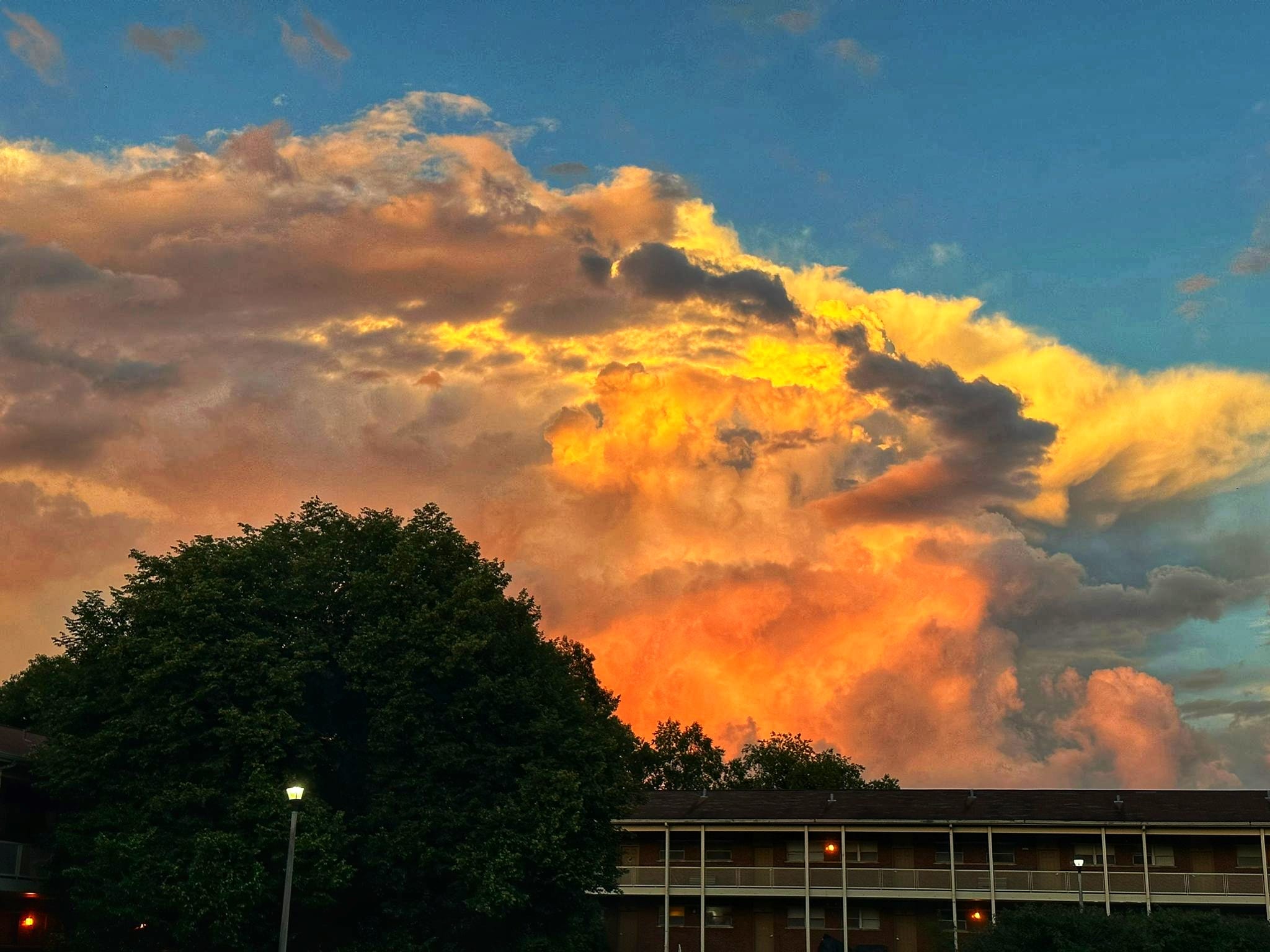 প্রবাসের হল জীবন