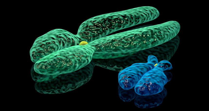 ওয়াই ক্রোমোজম নিয়ে নতুন গবেষণা, উপকৃত হতে পারেন বন্ধ্যা পুরুষ