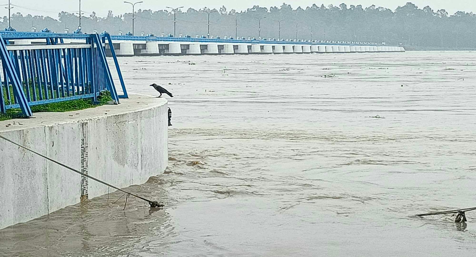 তিস্তার পানি বিপৎসীমার ওপরে, বন্যা সতর্কতা জারি