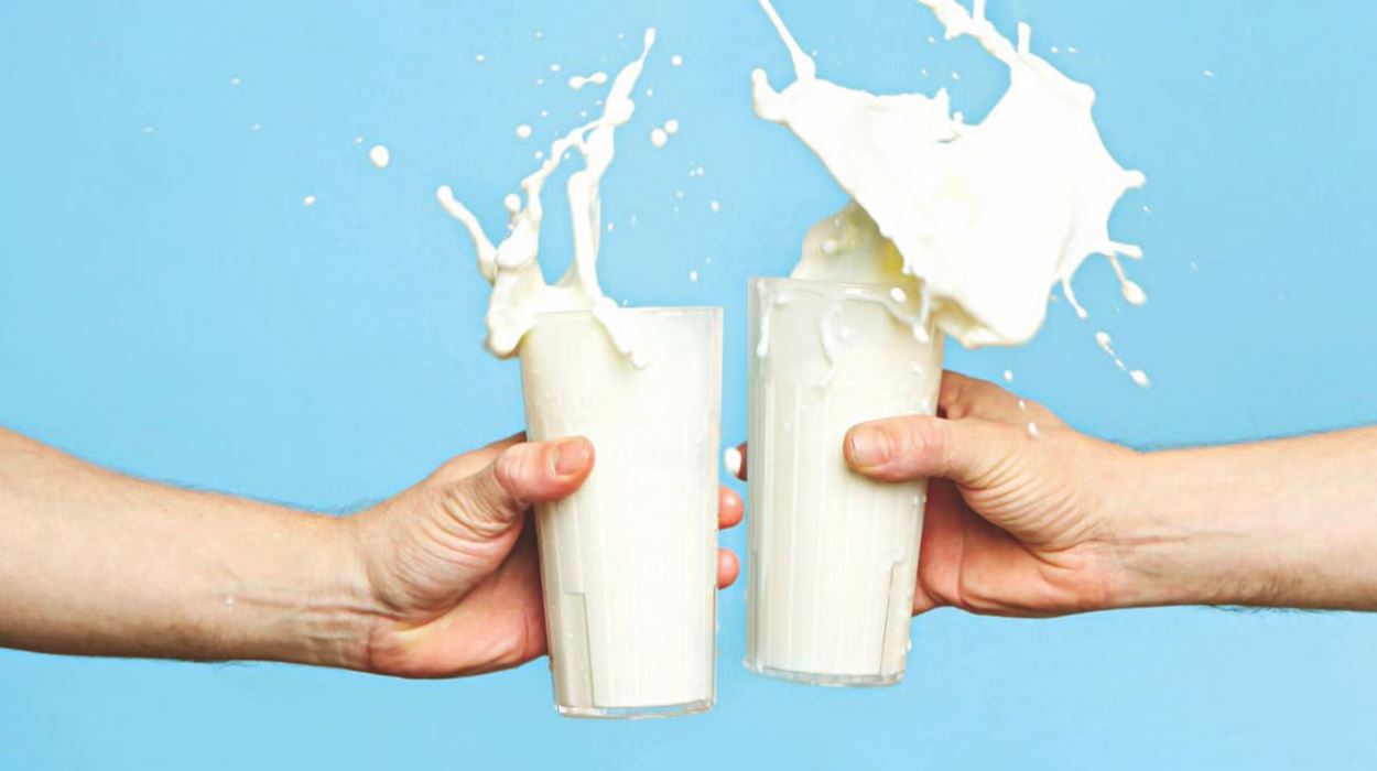 গরম নাকি ঠান্ডা দুধ খাবেন