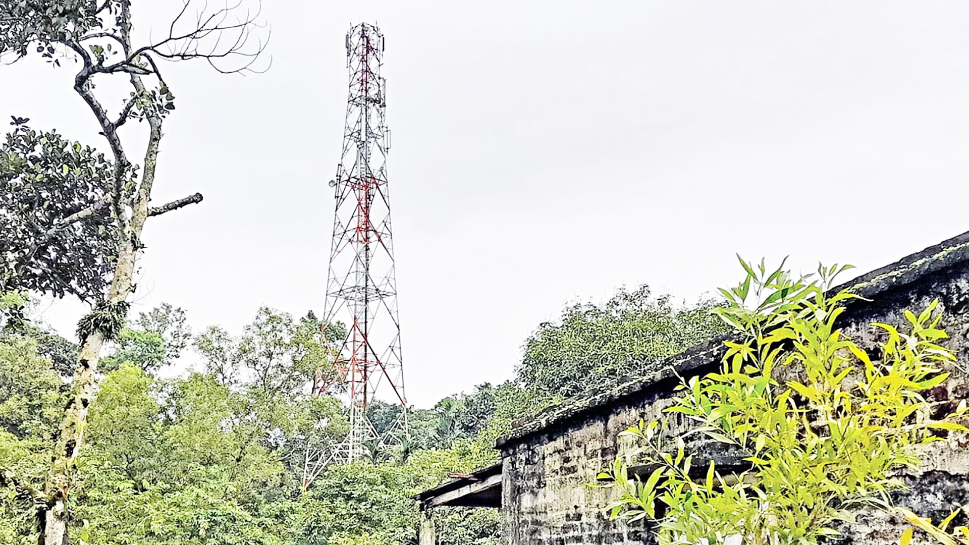 ১১০০ কোটি টাকায় বাংলালিংকের ২ হাজার টাওয়ার কিনছে সামিট