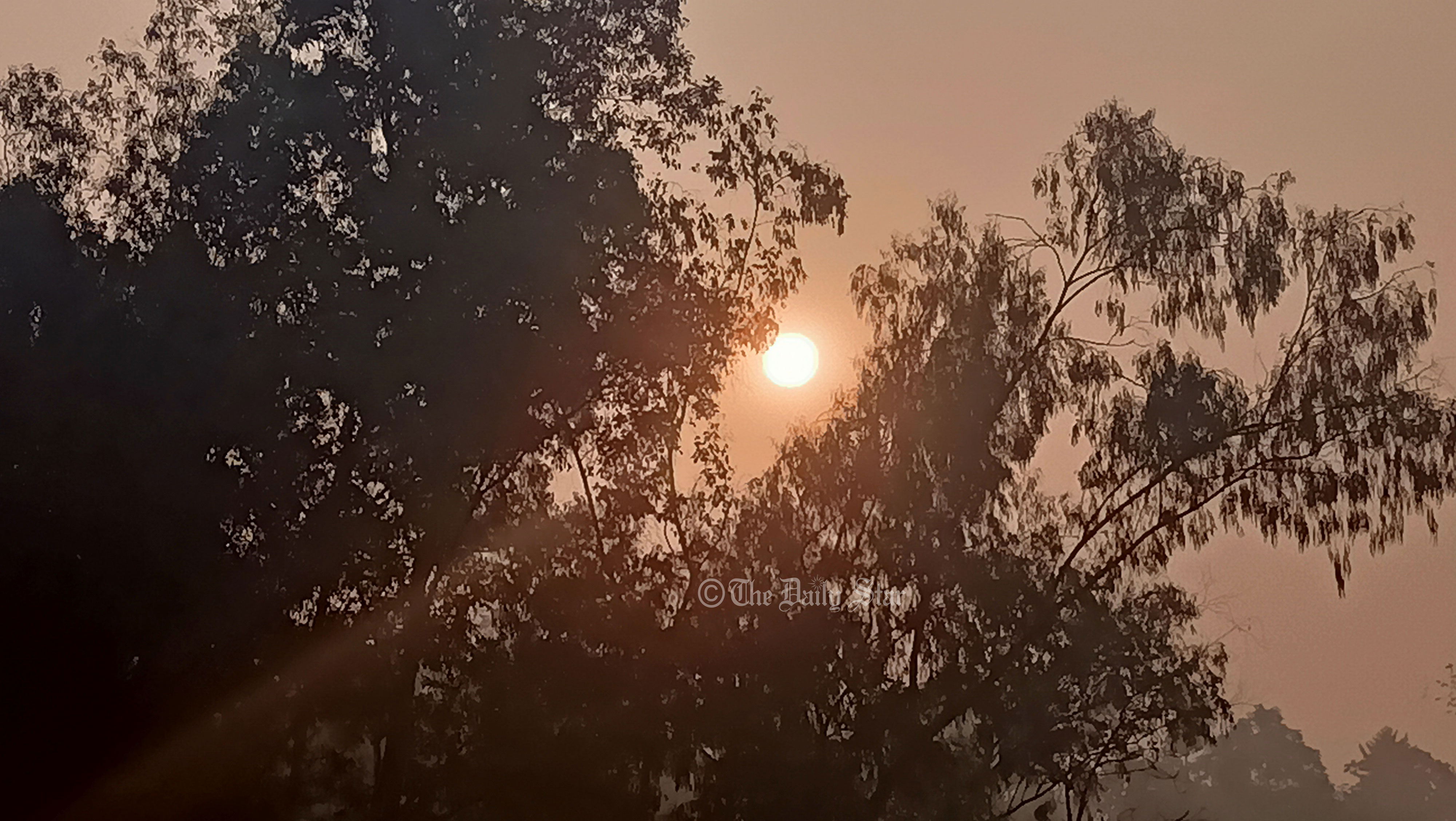 ২০ দিন পর সকালে সূর্য, জনমনে স্বস্তি