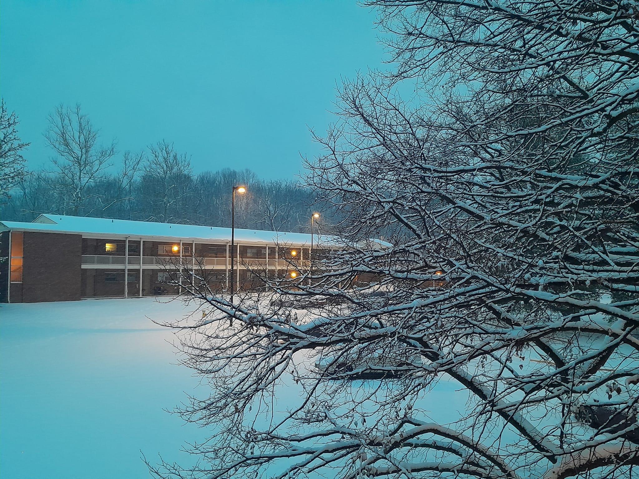 বিদেশে ডর্ম বা বাসা ভাড়া: যা জানা প্রয়োজন