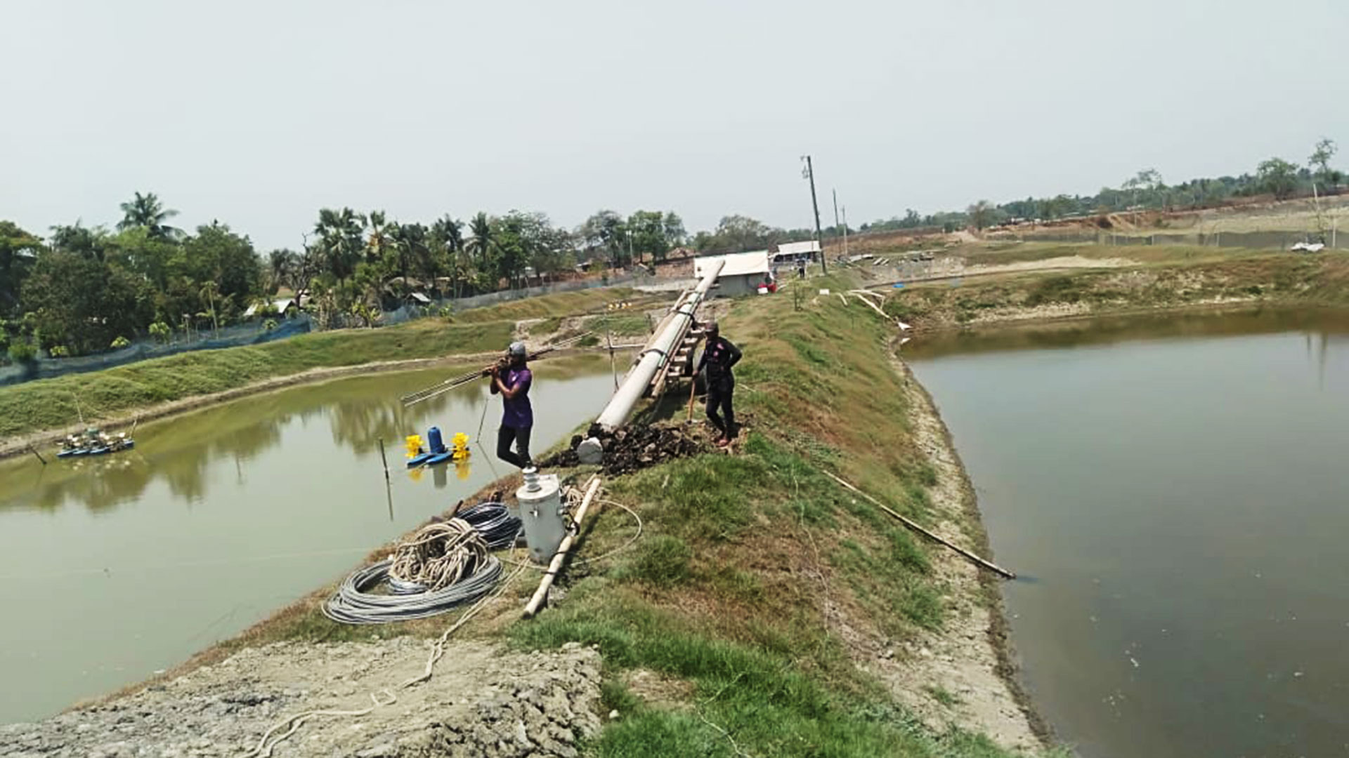 খুলনায় তীব্র গরম: লোকসানে তিন লাখ চিংড়ি চাষি