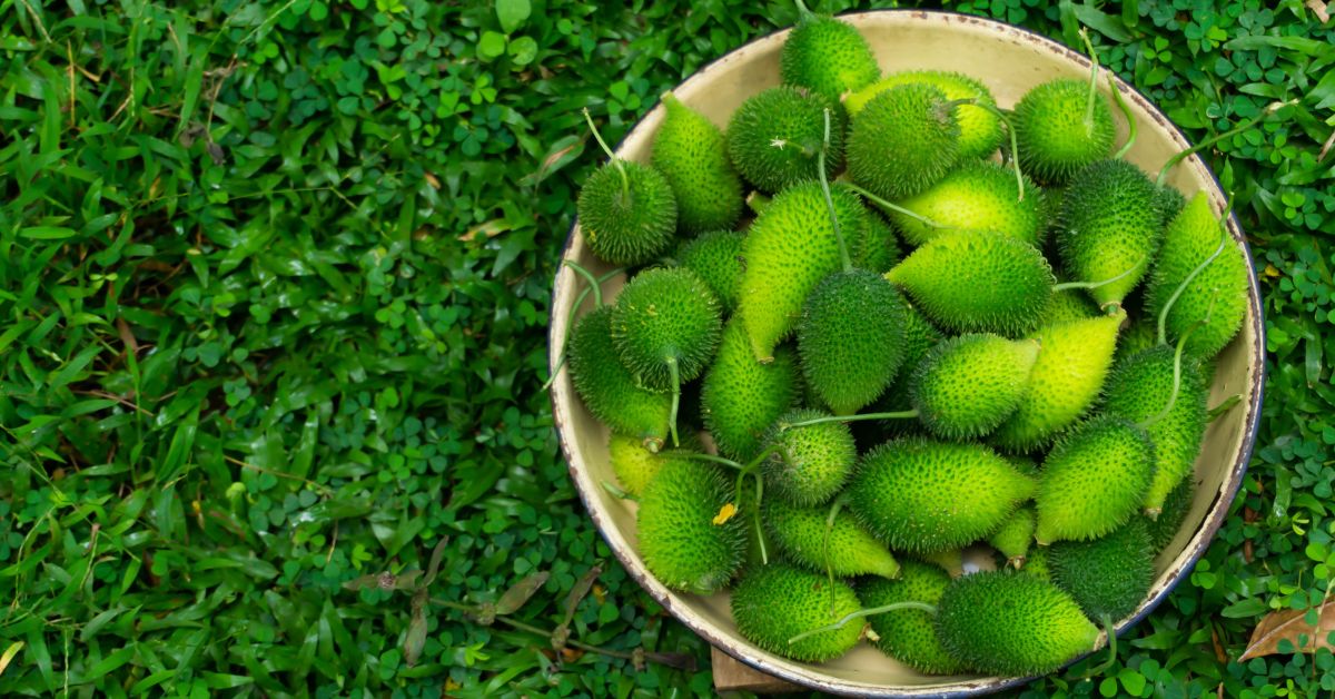 কাঁকরোল কেন খাবেন