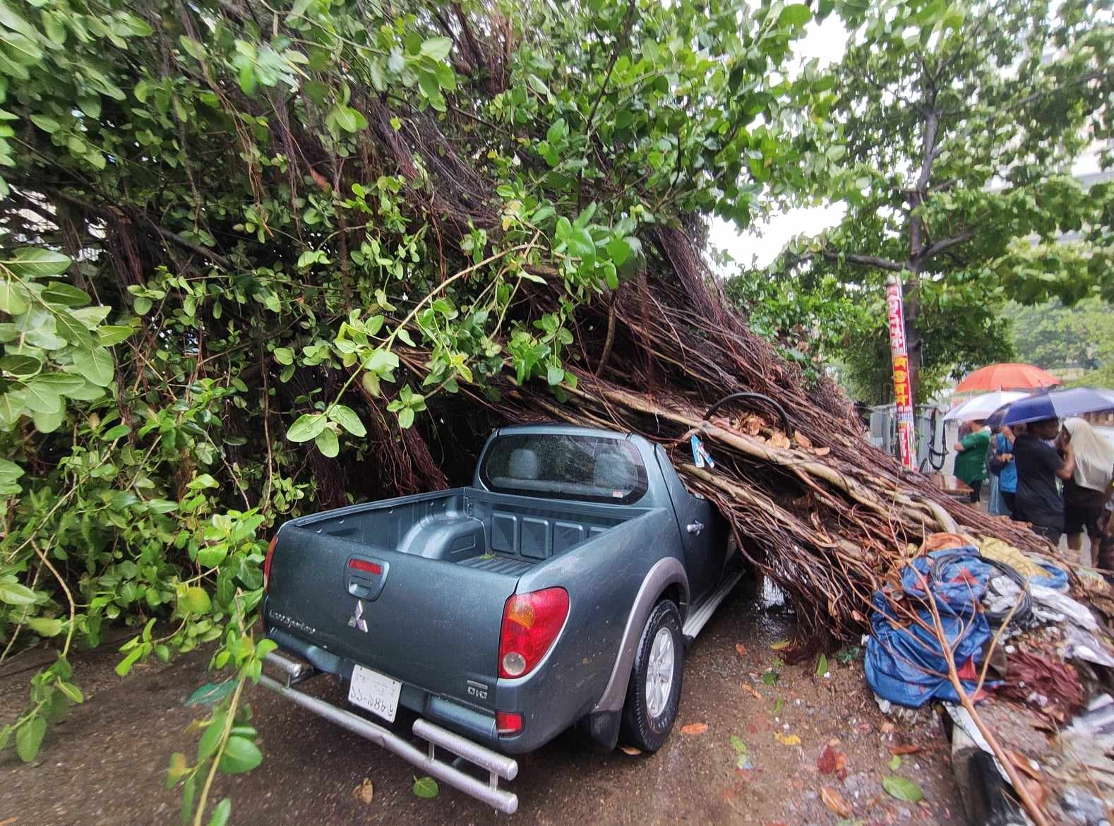 রাজধানীর কয়েকটি এলাকায় গাছ পড়ে যান চলাচল ব্যাহত