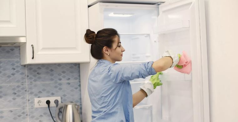 ফ্রিজের দুর্গন্ধ দূর করার যত ঘরোয়া উপায়