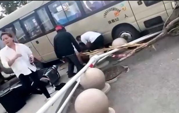 চীনে নিয়ন্ত্রণ হারানো স্কুলবাসের ধাক্কায় ১১ শিশু-অভিভাবক নিহত