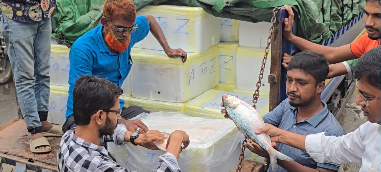 প্রথম চালানে ভারতে গেল ১২ টন ইলিশ