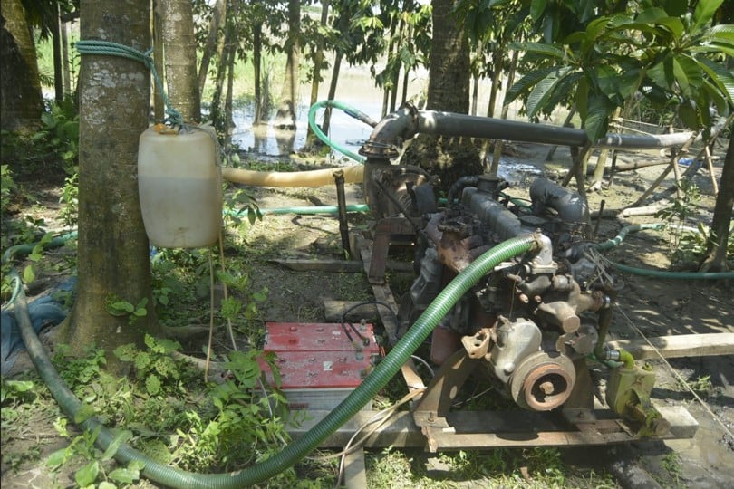 সড়ক নির্মাণে সংরক্ষিত বনের বালু উত্তোলন, হুমকিতে কুয়াকাটার সবুজ বেষ্টনী