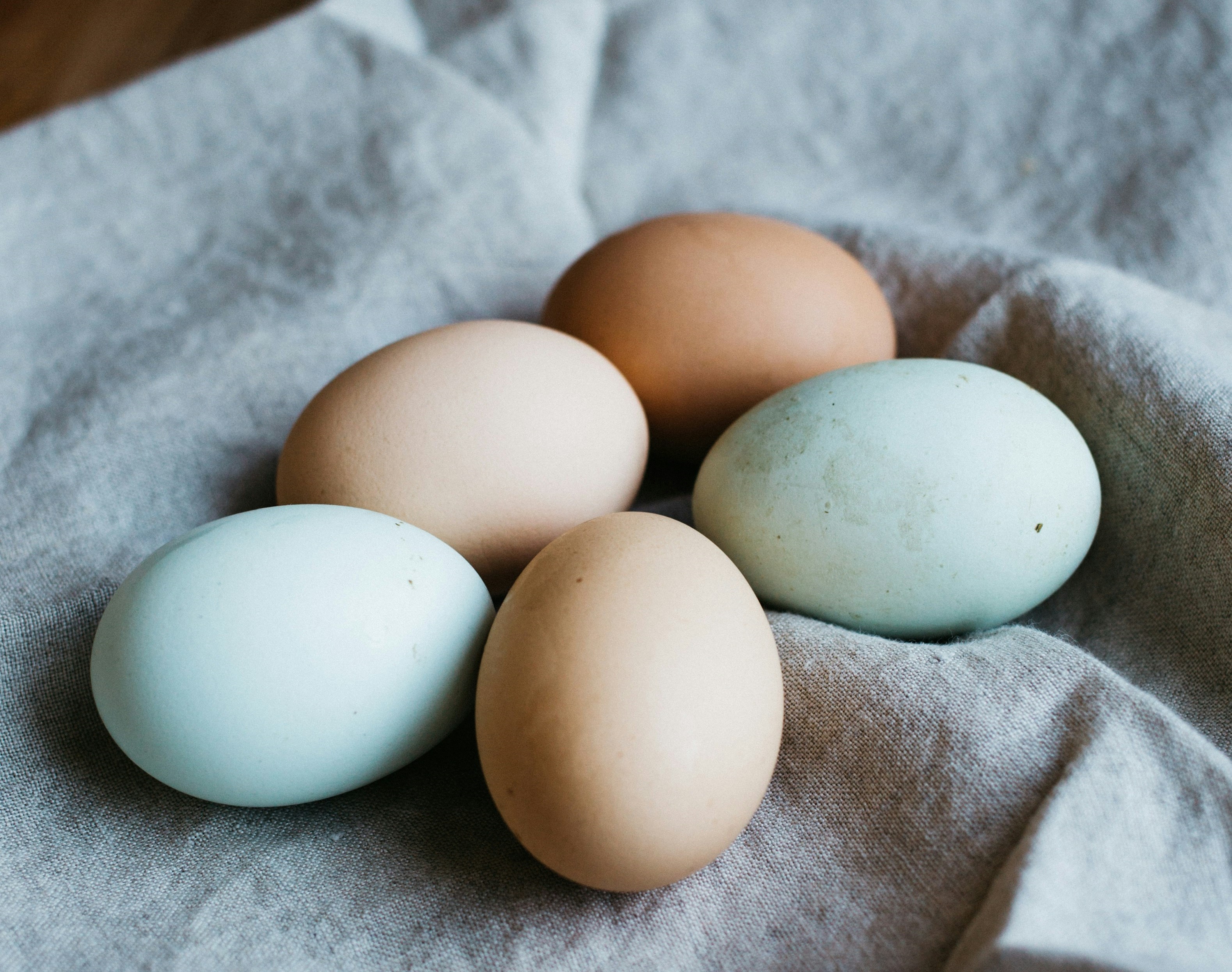 হাঁসের নাকি মুরগির ডিম খাওয়া ভালো