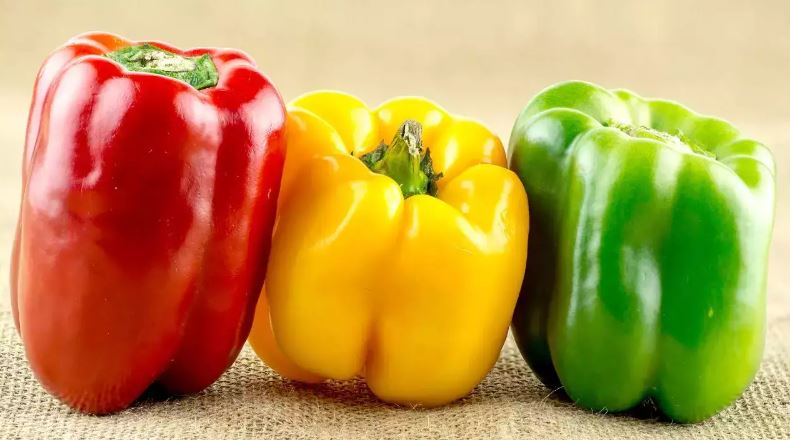 খাদ্যতালিকায় ক্যাপসিকাম রাখবেন যে কারণে